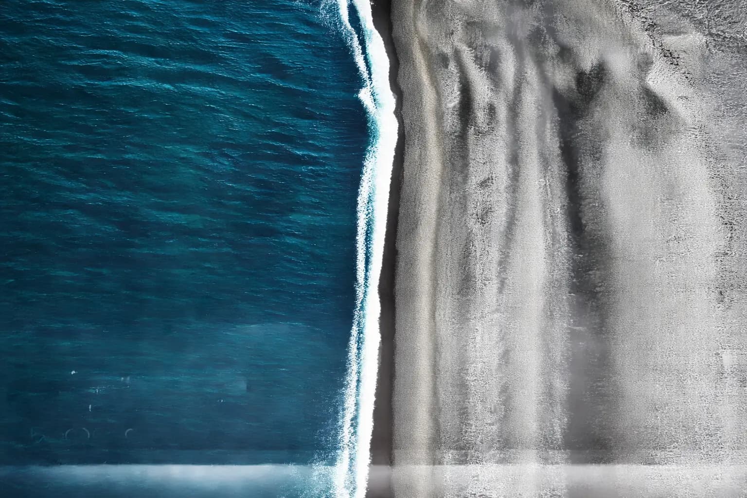 Premium Painting Services